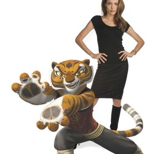Angelina Jolie as the voice of Tigress in "Kung Fu Panda"