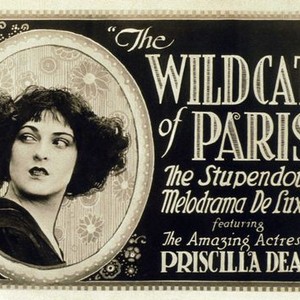 movie – The Wildcat Tribune