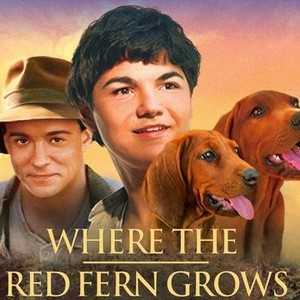 Where the Red Fern Grows (2003) - Rotten Tomatoes