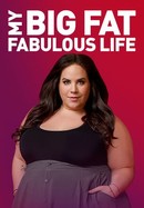 My Big Fat Fabulous Life poster image