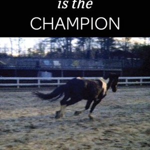 "D'artagnan Is the Champion photo 7"