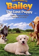 Adventures of Bailey: The Lost Puppy poster image