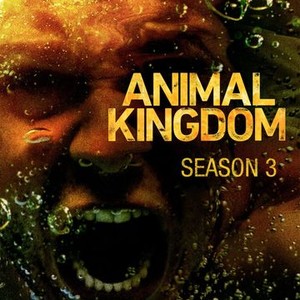 Animal Kingdom - Rotten Tomatoes