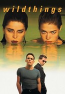 Wild Things poster image