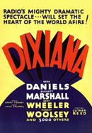 Dixiana poster image