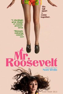 Mr. Roosevelt poster