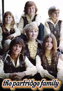 The Partridge Family poster image