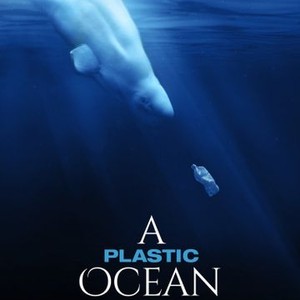 A Plastic Ocean photo 8