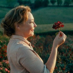The Rose Maker (2020)