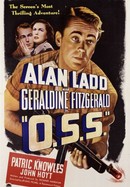O.S.S. poster image