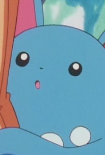 Pokémon the Series The Johto Journeys,