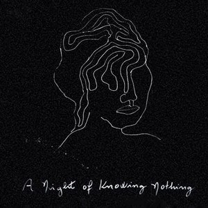 A Night of Knowing Nothing photo 9