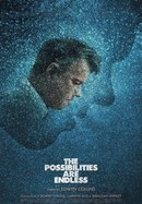 The Possibilities Are Endless poster image