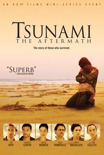 Tsunami, The Aftermath