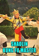 Shaolin Kung Fu Master poster image