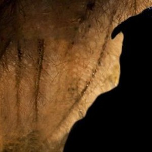 "Uncle Boonmee Who Can Recall His Past Lives photo 18"