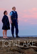 Top of the Lake poster image