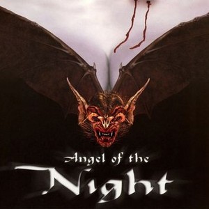 "Angel of the Night photo 8"