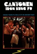 Cantonen Iron Kung Fu poster image