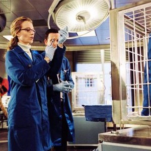 THE SHAGGY DOG, Bess Wohl, Tim Allen (in cage), 2006, (c) Buena Vista