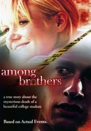 Among Brothers poster image