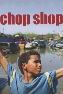 Chop Shop poster