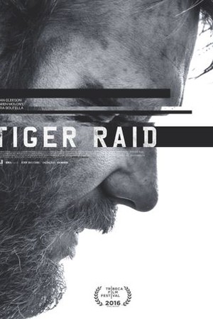 Tiger Raid poster
