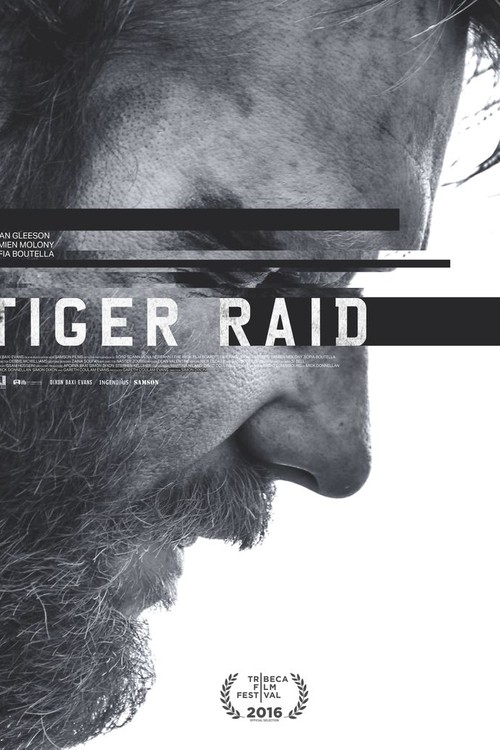 Tiger Raid poster