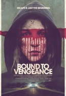 Bound to Vengeance poster image