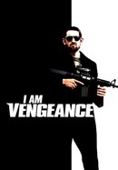I Am Vengeance poster image
