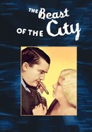 The Beast of the City poster image
