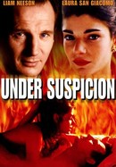Under Suspicion poster image
