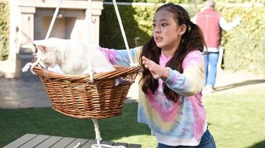 Modern family season 11 netflix release date clearance