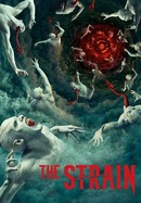 The Strain poster image