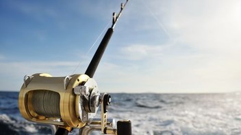 blair wiggins fishing pole Lew's M2 Inshore 7'6" Med Fast Spinning HVC 40 Rod: Buy Online at Best Price in UAE Aiiiieeeeeeeeeee!!