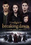 The Twilight Saga: Breaking Dawn Part 2 poster image