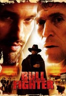 Bullfighter poster image
