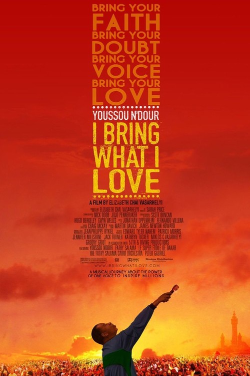 Youssou N'Dour: I Bring What I Love poster