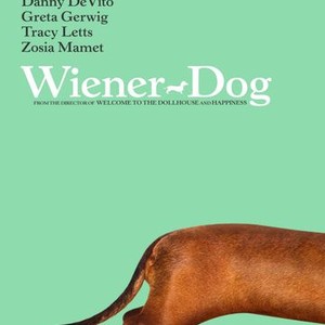 Wiener-Dog photo 20