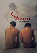 Steam: The Turkish Bath poster image