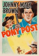 Pony Post poster image