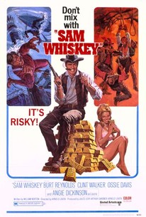 Poster for Sam Whiskey