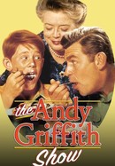The Andy Griffith Show poster image