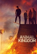 Animal Kingdom poster image