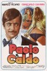 Poster for 