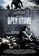 Open Grave poster image