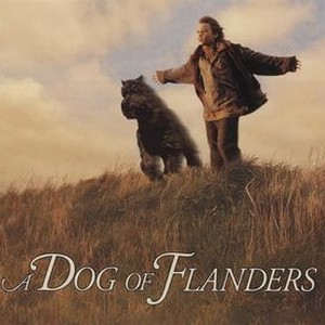 "A Dog of Flanders photo 12"