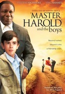 Master Harold... and the Boys poster image