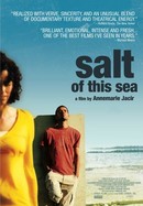 Salt of This Sea poster image