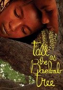 Tall as the Baobab Tree poster image